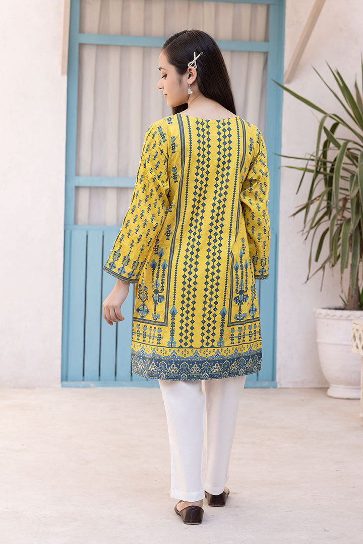 2 Pieces Yellow Printed Embroidered Suit