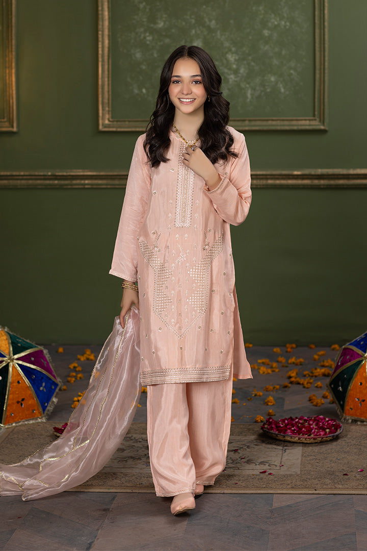 LILY-3 PIECE EMBROIDERED SUIT