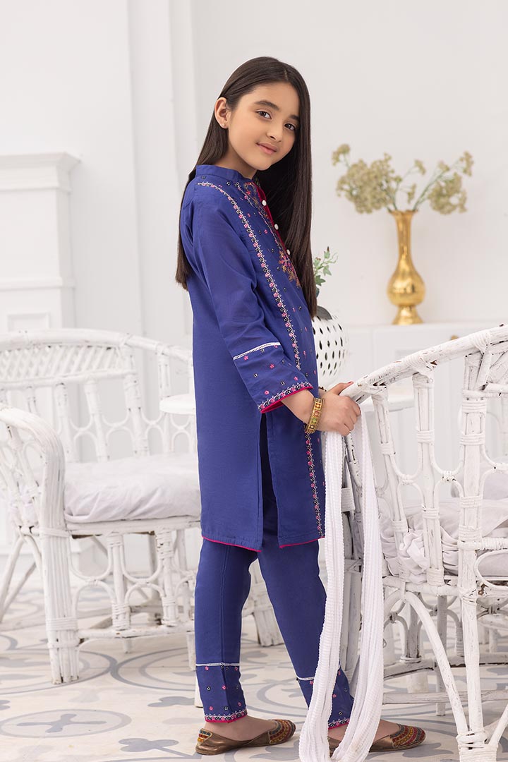 3 piece Embroidered Cotton Suit