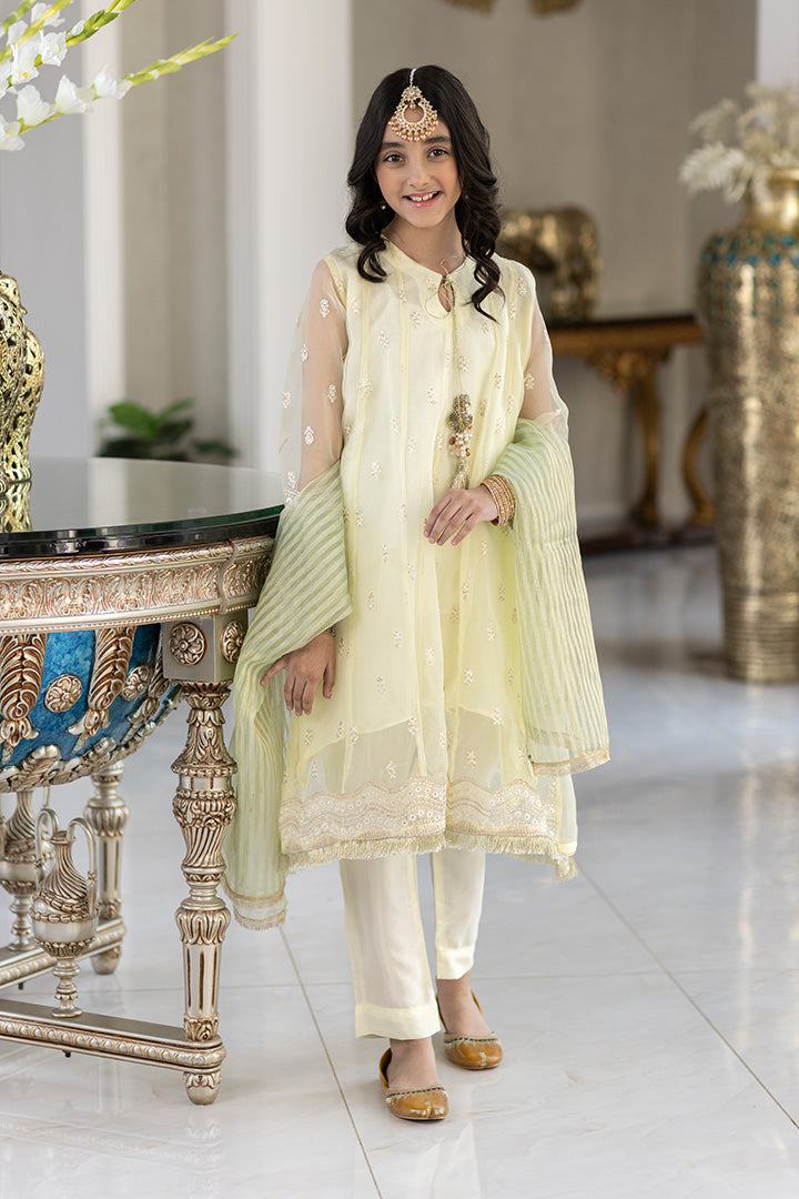 3 Pieces Lemon Organza Suit