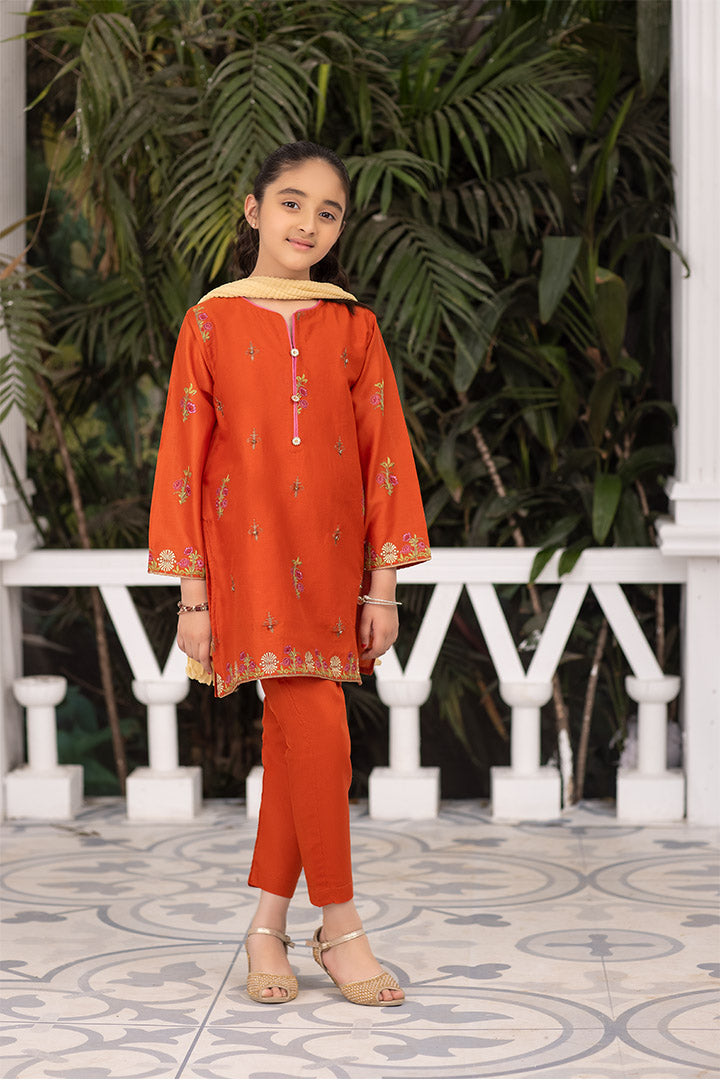 3 Piece Sand Dust Embroidered Suit