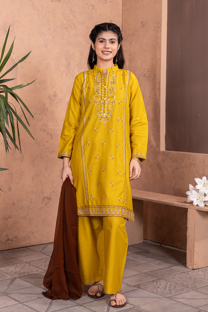 Noori-3 Piece Embroidered Cotton Suit