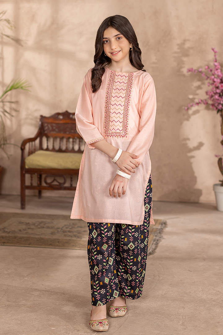 Blush Bloom-2 Piece Embroidered