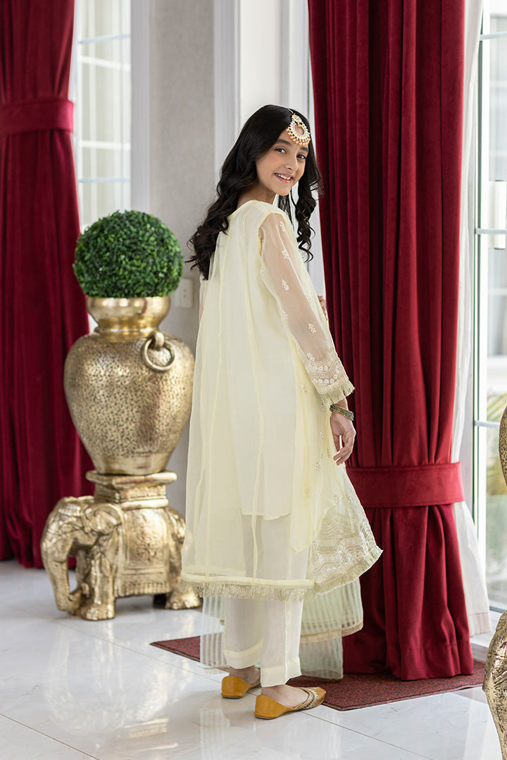 3 Pieces Lemon Organza Suit