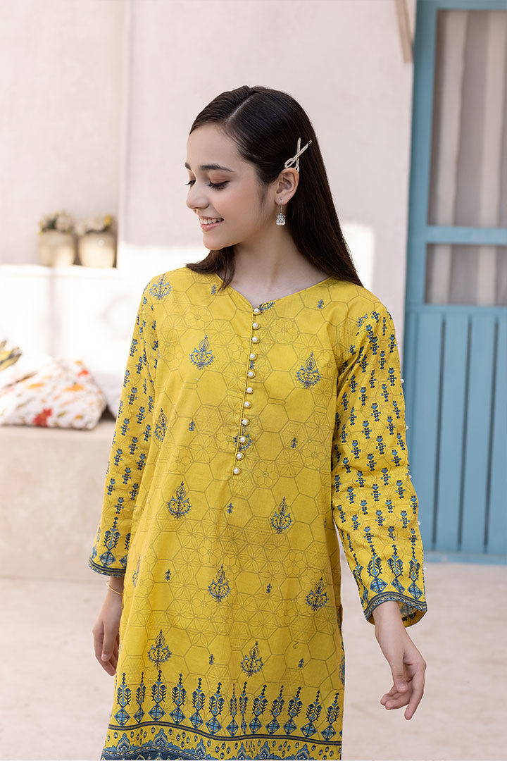 2 Pieces Yellow Printed Embroidered Suit