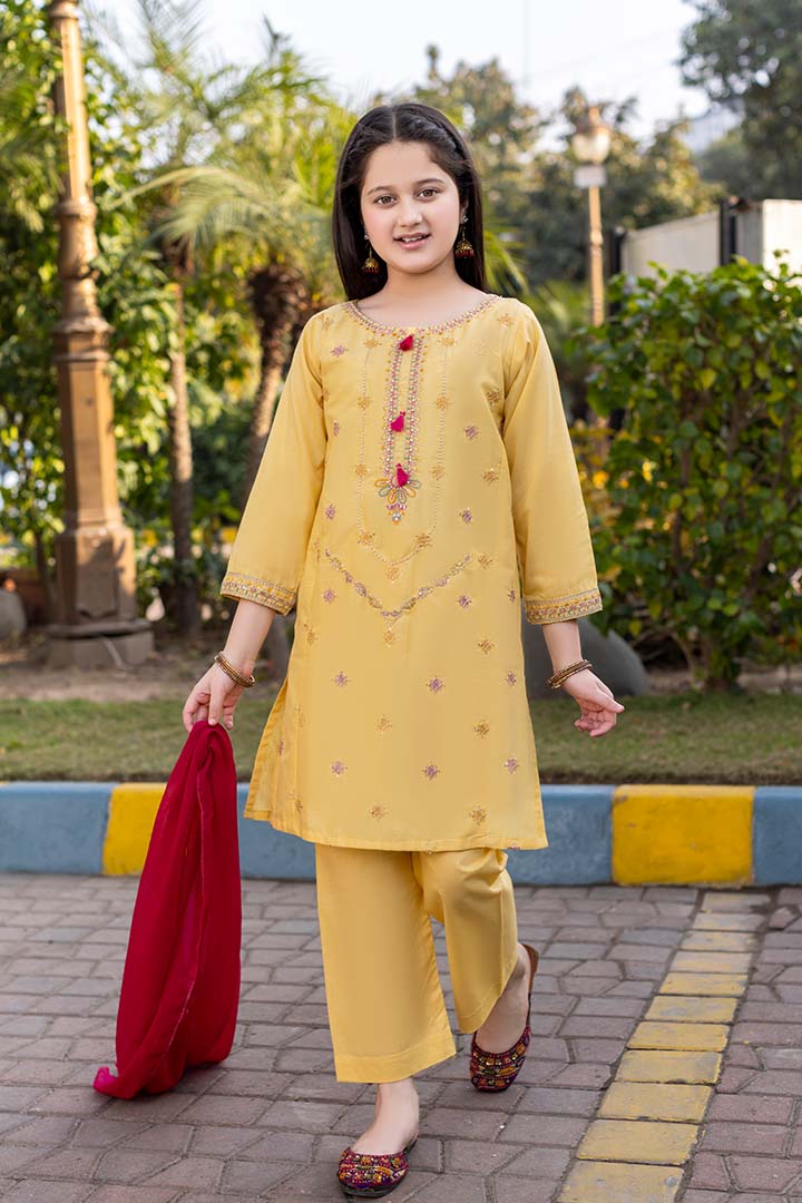 Honey-3 Piece Embroidered Cotton Suit