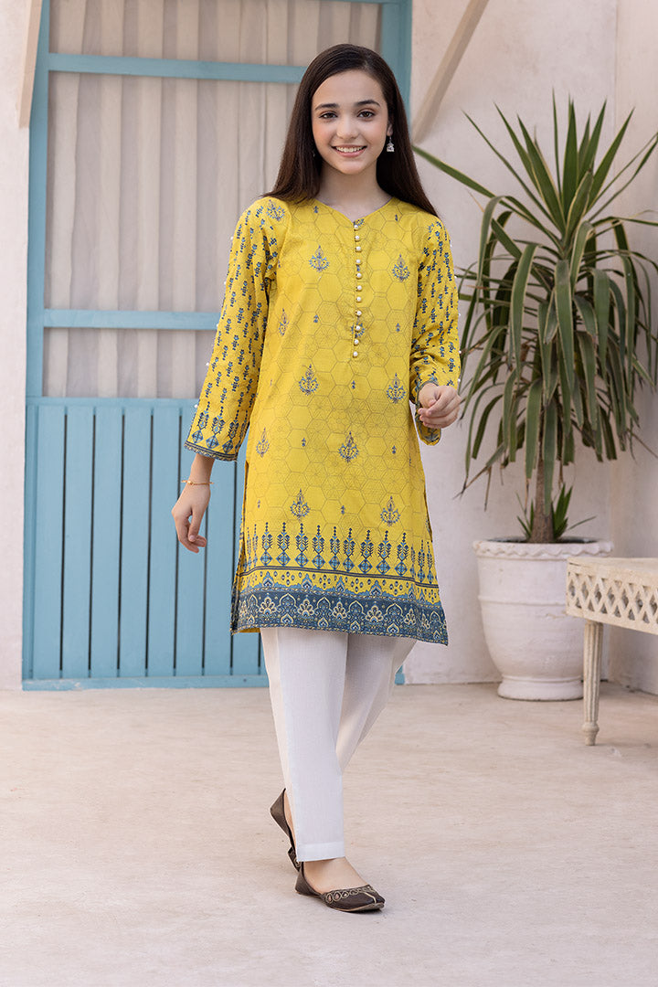 2 Pieces Yellow Printed Embroidered Suit