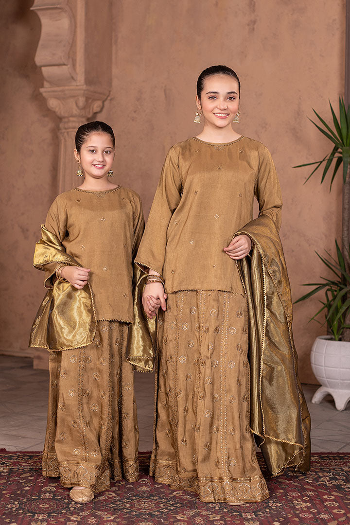 Moonstone-3 Piece embroidered Lehenga Suit