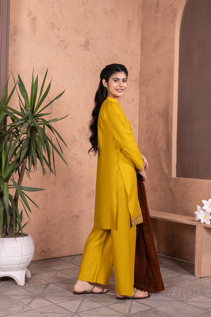 Noori-3 Piece Embroidered Cotton Suit