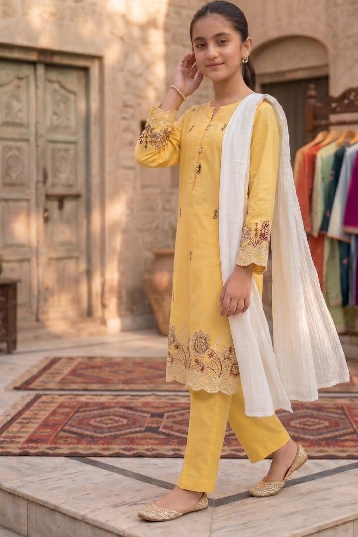 Meher 3 Piece Embroidered Cotton Suit