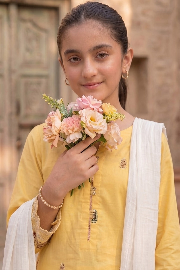 Meher 3 Piece Embroidered Cotton Suit