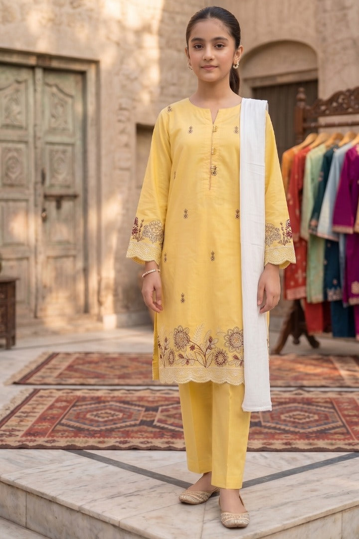 Meher 3 Piece Embroidered Cotton Suit