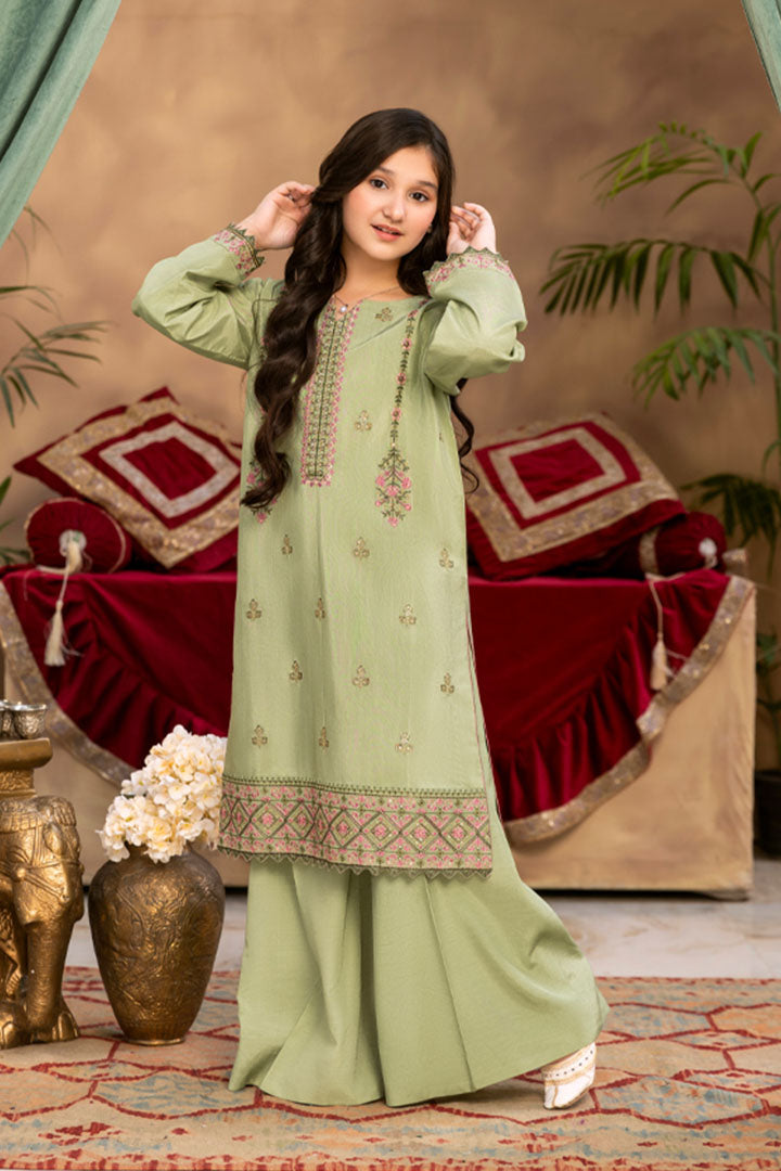 Zamurd-2 Piece Rao Silk Suit