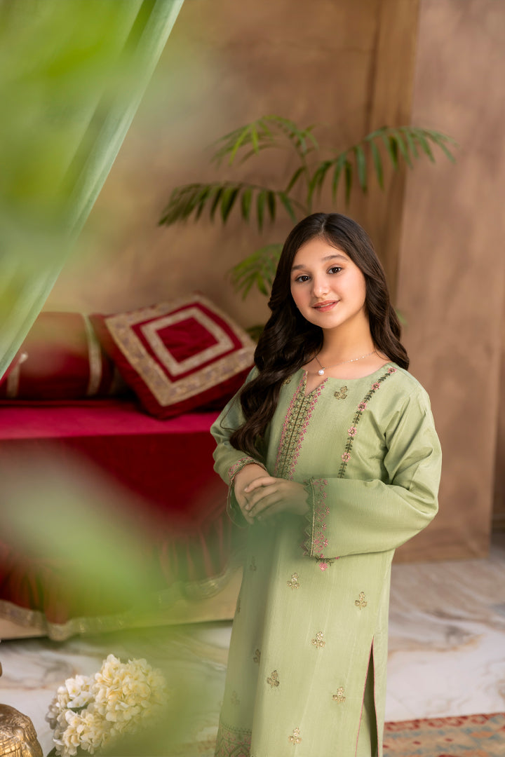 Zamurd-2 Piece Rao Silk Suit