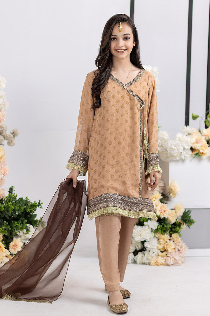 3 Pieces Skin Andrakha Embroidered Suit