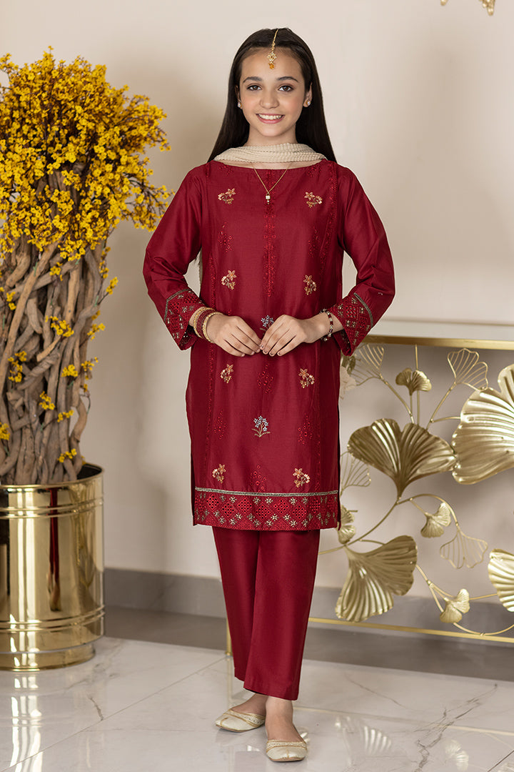 3 piece- Mehroon Embroidered Suit