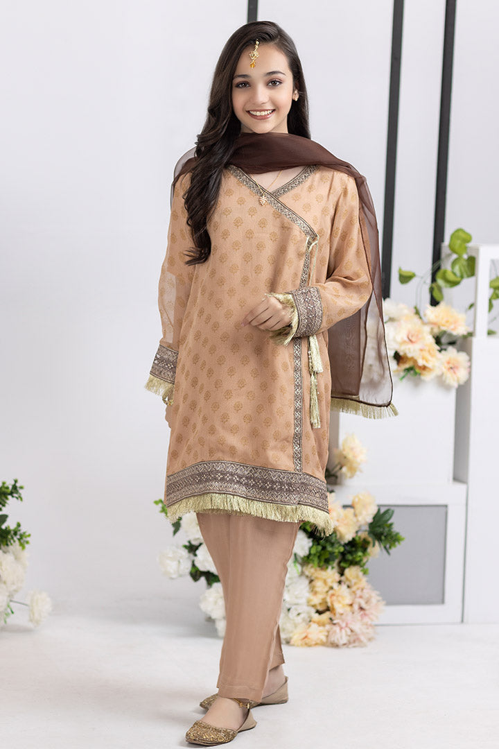 3 Pieces Skin Andrakha Embroidered Suit