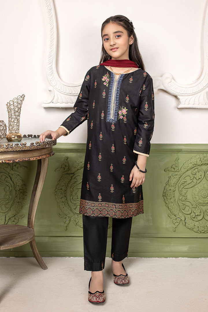 3piece- Printed and Embroidered Suit