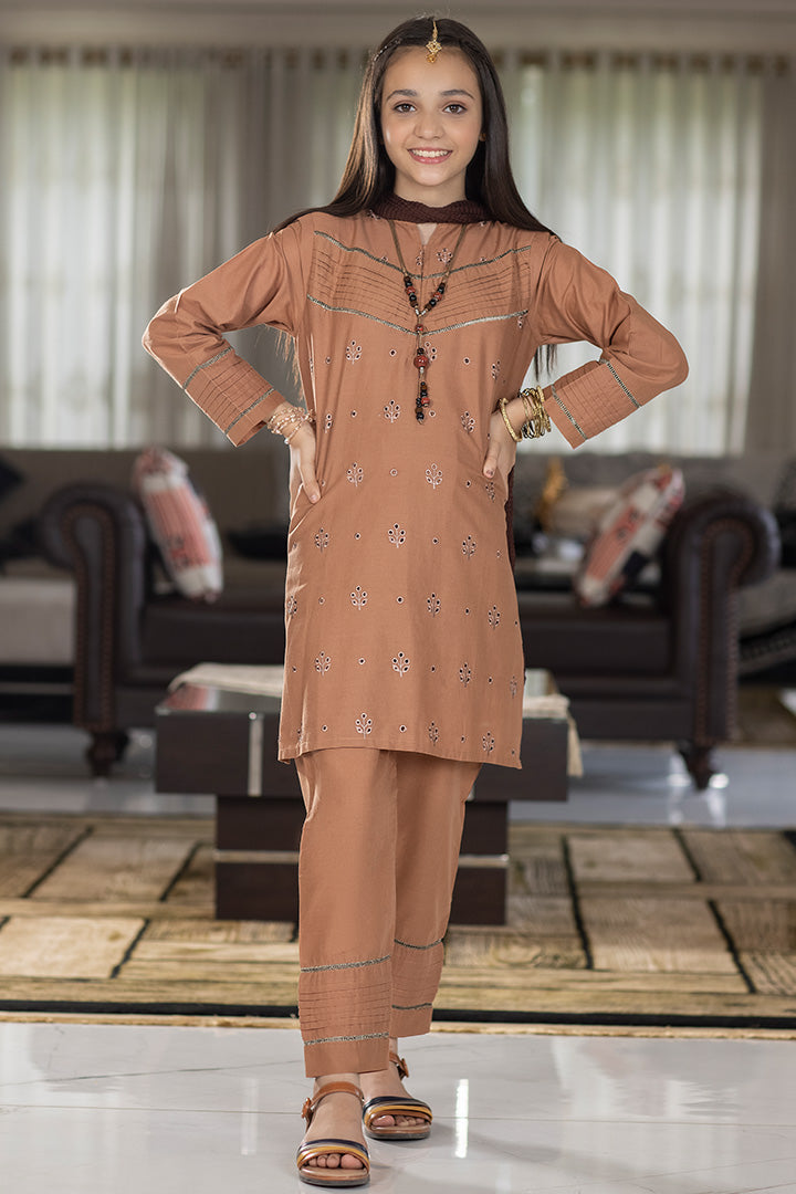 3 Piece - Brown Embroidered Suit