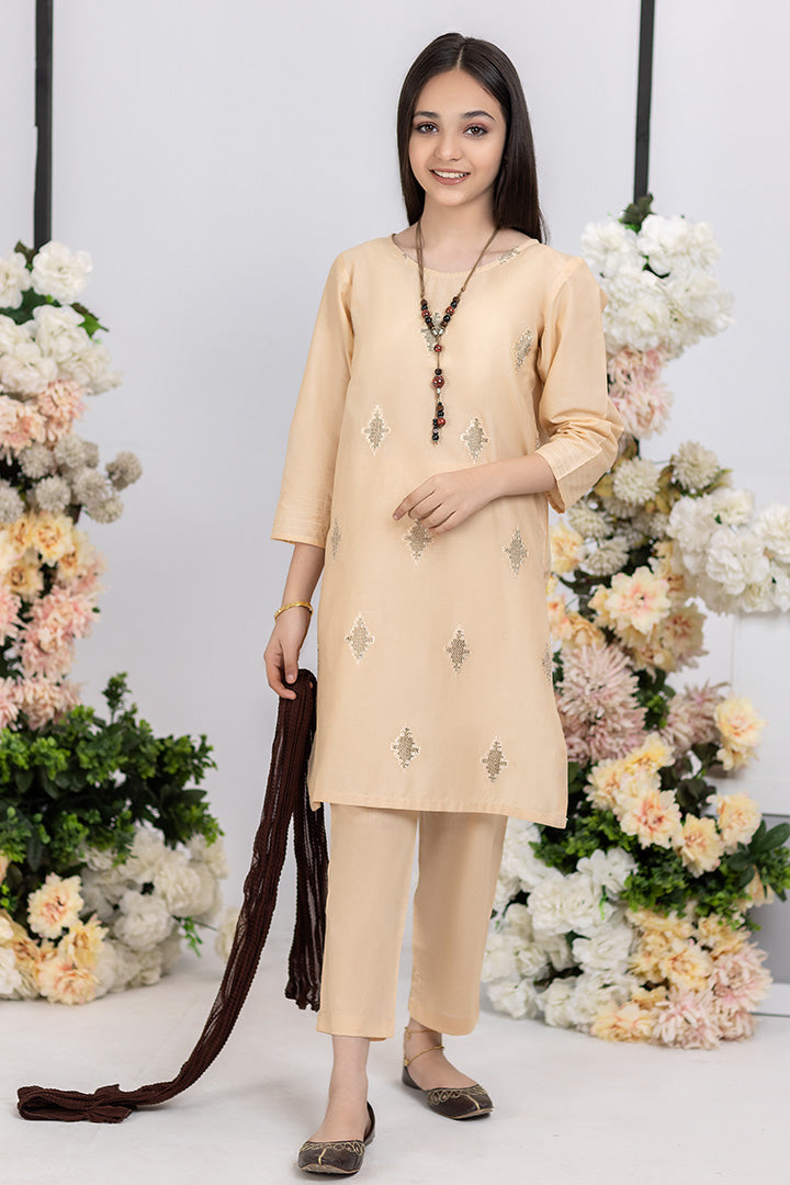 3 Pieces Skin Embroidered Suit